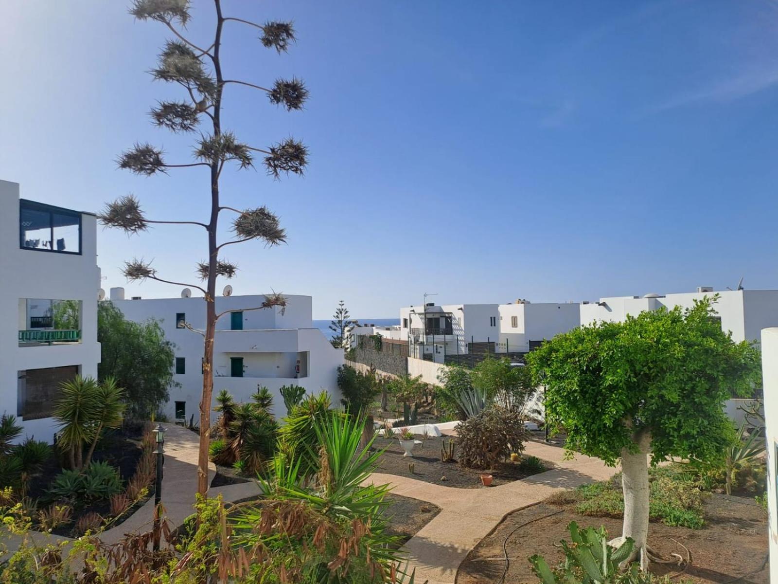 Azul Tuscan Playa Y Piscina Costa Teguise Ngoại thất bức ảnh